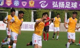 深圳足球最新爆料,最新爆料揭秘球队新动态