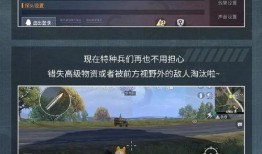 和平君最新爆料视频大全,揭秘热点事件背后的真相