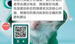 最新食品爆料消息查询,食品安全问题再引关注