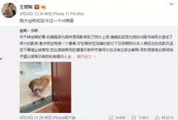 虎扑爆料在哪里找啊最新,揭秘最新热点，一网打尽全网资讯