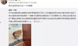 虎扑爆料在哪里找啊最新,揭秘最新热点，一网打尽全网资讯