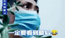 采访爆料人视频大全最新,最新爆料背后的真相与内幕