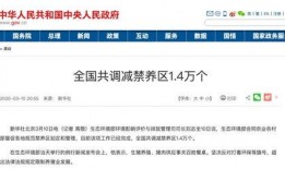 猪瘟最新爆料新闻,揭秘病毒传播途径与防控措施