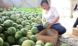 沾化区吃瓜最新事件爆料,揭秘背后真相与争议