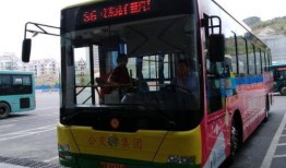 莆田公交车爆料视频最新,惊现惊人一幕，真相令人震惊！