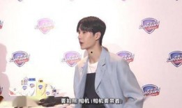 真瓜主爆料陈哥最新视频,真瓜主爆料背后的惊人真相