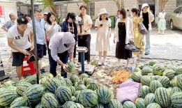 沾化区吃瓜最新事件爆料,揭秘背后真相与争议