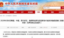猪瘟最新爆料新闻,揭秘病毒传播途径与防控措施
