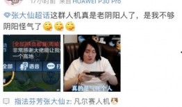 元梦最新爆料手持物,手持神秘物品引发热议