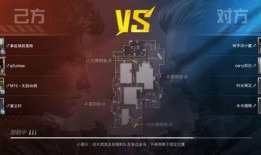 和平君最新爆料视频大全,揭秘热点事件背后的真相