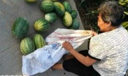 潮州吃瓜最新事件爆料,最新事件揭秘，真相背后引热议