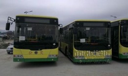 莆田公交车爆料视频最新,惊现惊人一幕，真相令人震惊！