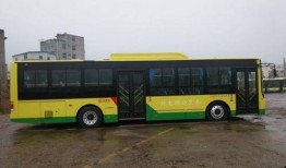 莆田公交车爆料视频最新,惊现惊人一幕，真相令人震惊！