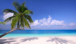 海南海边爆料案件最新,真相即将揭晓！