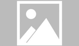 军需爆料最新消息新闻报道,最新军事新闻动态速览