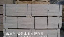 lvl最新消息爆料,最新动态揭秘，带你领略行业前沿