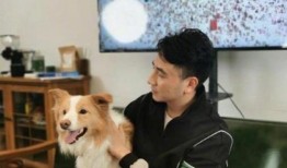 林生斌最新爆料818,揭秘818事件背后真相