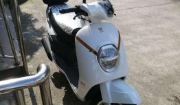 豪爵萌妹最新爆料图片大全,美图盛宴，视觉盛宴来袭！