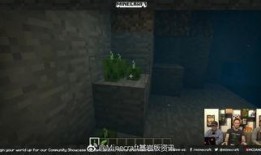 基岩版最新爆料,探索未知领域，揭开神秘面纱