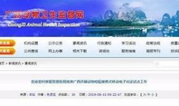 猪瘟最新爆料新闻,揭秘病毒传播途径与防控措施