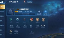 国服王者最新爆料视频,神秘英雄登场，游戏玩法大革新！