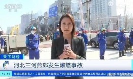 采访爆料人视频大全最新,最新爆料背后的真相与内幕