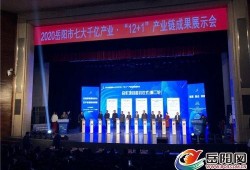 岳阳新闻网爆料信息最新,揭秘岳阳某神秘项目真相！