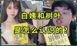 白姨最新爆料视频大全下载,揭秘娱乐圈不为人知的一面