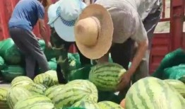 沾化区吃瓜最新事件爆料,揭秘背后真相与争议