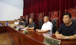 肥西县今天爆料案件最新,案情细节及进展全解析
