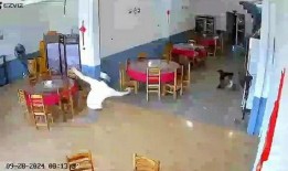 徐州饭店爆料视频曝光最新,真相令人震惊！