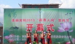 广西宾阳最新闻爆料电话,一触即达，掌握宾阳动态！