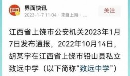 爆料致远中学事件视频最新,真相与争议交织
