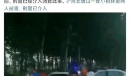 最新爆料唐山事件是真的吗,真相究竟如何？